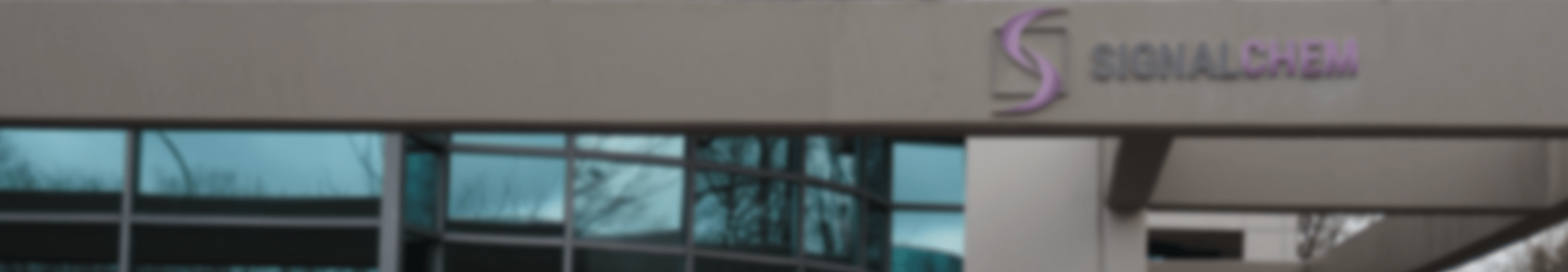 Company Overview Image