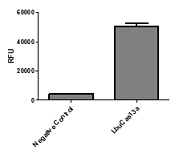 Product Element Image