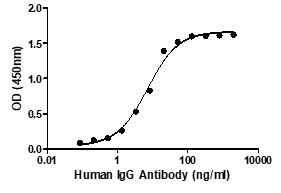Product Element Image