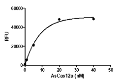 Formulation