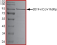 Product Element Image