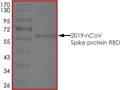 Product Element Image