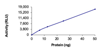 Formulation