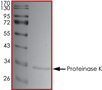 Product Element Image